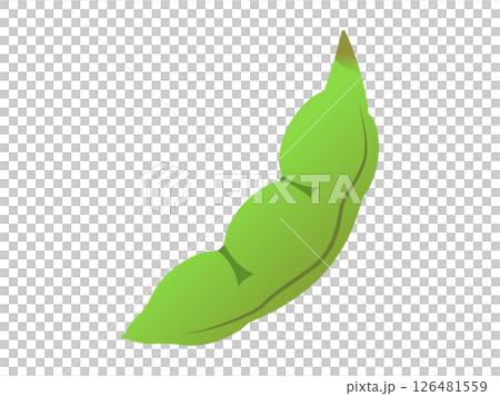 Simple edamame illustration Simple edamame illustration 126481559