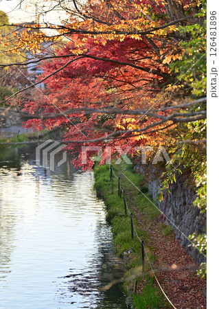 八幡堀 水郷巡り 2023年秋 八幡堀 水郷巡り 2023年秋 126481896