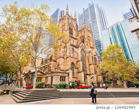 シドニー　セント・アンドリュース大聖堂 126482945