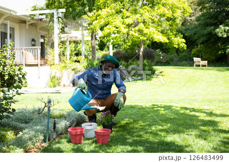 Man watering plants in garden, enjoying sunny day and nurturing greenery Man watering plants in garden, enjoying sunny day and nurturing greenery 126483499