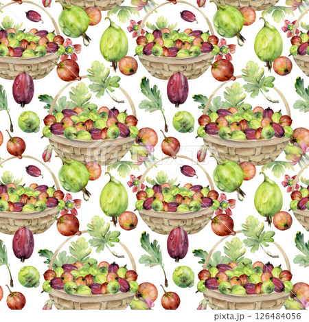 Gooseberry Currant in weaved basket with leaves, scattered ripe picked berry harvest. Isolated seamless pattern hand drawn in watercolor. Dessert cafe menu, cookbook, craft farmers market, gardening Gooseberry Currant in weaved basket with leaves, scattered ripe picked berry harvest. Isolated seamless pattern hand drawn in watercolor. Dessert cafe menu, cookbook, craft farmers market, gardening 126484056