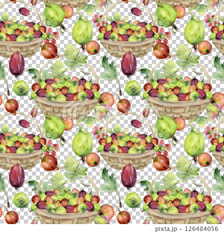 Gooseberry Currant in weaved basket with leaves, scattered ripe picked berry harvest. Isolated seamless pattern hand drawn in watercolor. Dessert cafe menu, cookbook, craft farmers market, gardening Gooseberry Currant in weaved basket with leaves, scattered ripe picked berry harvest. Isolated seamless pattern hand drawn in watercolor. Dessert cafe menu, cookbook, craft farmers market, gardening 126484056