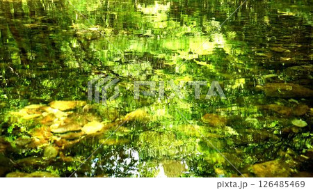 新緑鮮やかな川の水面 126485469