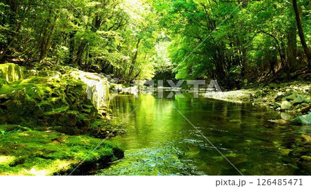 新緑鮮やかな川の水面 126485471