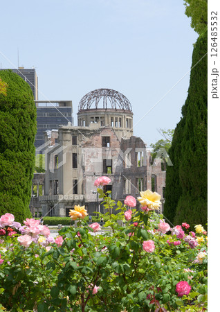 バラの花と広島平和記念公園の原爆ドーム バラの花と広島平和記念公園の原爆ドーム 126485532