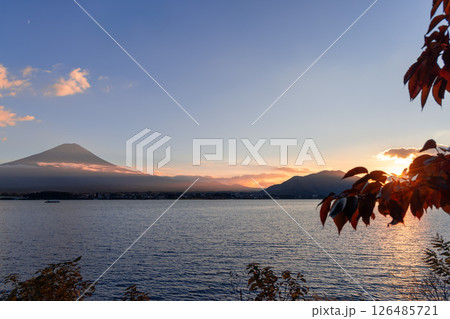 Golden hour light filters through autumn foliage as Mount Fuji rises above Lake Kawaguchi Golden hour light filters through autumn foliage as Mount Fuji rises above Lake Kawaguchi 126485721