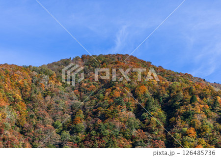 Autumn forest covering a winding mountain slope in Japan Autumn forest covering a winding mountain slope in Japan 126485736