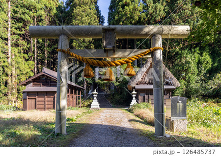 Torii gate leading to Shinmeisha Shrine in Suganuma, Toyama, Japan 126485737