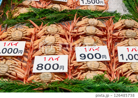 Fresh crabs laid belly up on ice in a Japanese seafood market Fresh crabs laid belly up on ice in a Japanese seafood market 126485738