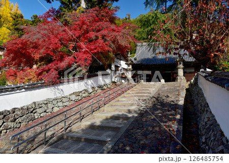 紅葉に包まれた宝積寺 紅葉に包まれた宝積寺 126485754