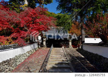 紅葉に包まれた宝積寺 紅葉に包まれた宝積寺 126485755
