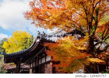 紅葉に包まれた宝積寺 紅葉に包まれた宝積寺 126485757