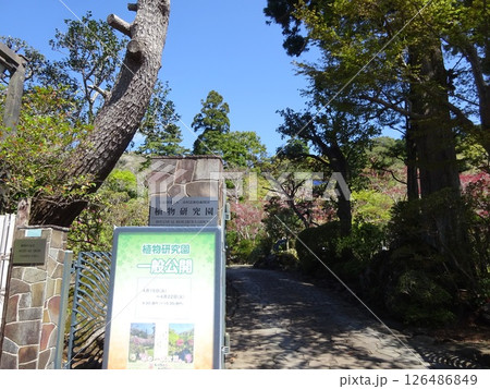 植物研究園 植物研究園 126486849