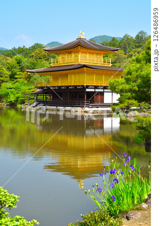 北山鹿苑禅寺 金閣寺 北山鹿苑禅寺 金閣寺 126486959