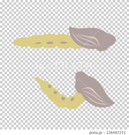 搖蚊蛹 搖蚊蛹 126487251