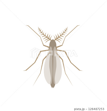 ユスリカ 126487253