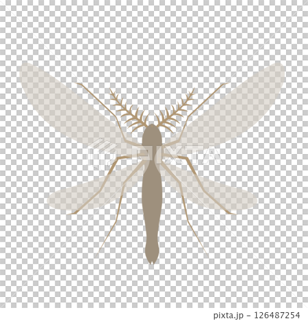 Muska Muska 126487254