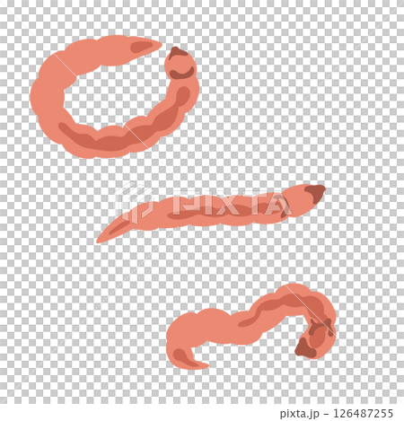 Musca的幼蟲 126487255