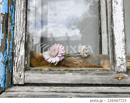 Aged window shutters where aged artificial flowers lie behind the glass. Artificial flowers in an old wooden frame. pattern with artificial flowers in an old neglected window 126487725