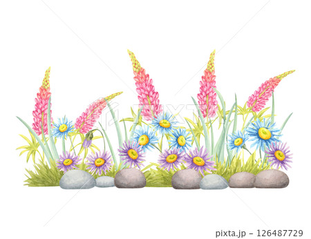 Pink lupins, blue and purple daisies, and garden stones in watercolor clipart composition. Botanical bright wildflower illustration for floral headers, border art, handmade cards, and wedding designs Pink lupins, blue and purple daisies, and garden stones in watercolor clipart composition. Botanical bright wildflower illustration for floral headers, border art, handmade cards, and wedding designs 126487729