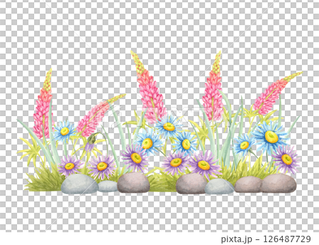 Pink lupins, blue and purple daisies, and garden stones in watercolor clipart composition. Botanical bright wildflower illustration for floral headers, border art, handmade cards, and wedding designs Pink lupins, blue and purple daisies, and garden stones in watercolor clipart composition. Botanical bright wildflower illustration for floral headers, border art, handmade cards, and wedding designs 126487729