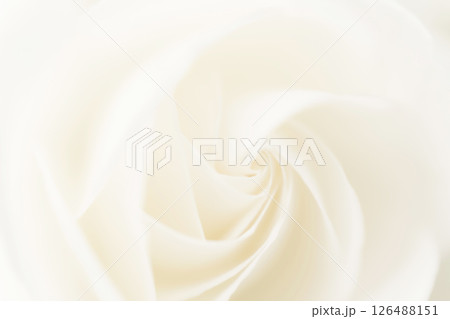 バラ・花びら 背景素材 126488151