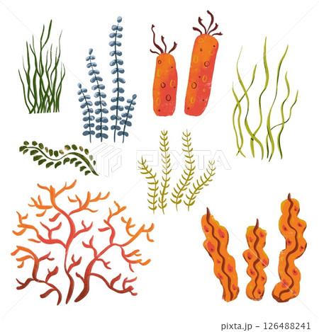set of sea ocean illustrations - corals and algae set of sea ocean illustrations - corals and algae 126488241
