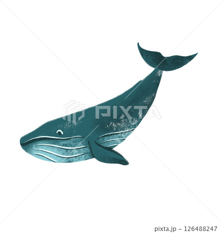 png drawing of sea ocean voyage - whale 126488247
