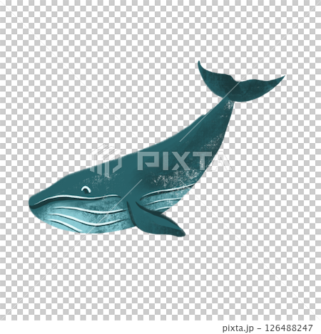 png drawing of sea ocean voyage - whale 126488247