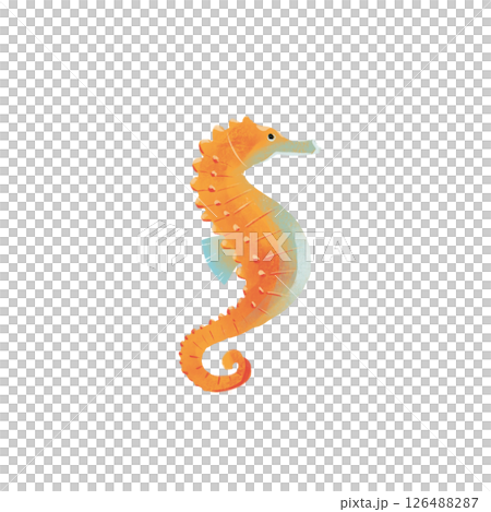 png drawing of sea ocean voyage - sea horse, hippocampus png drawing of sea ocean voyage - sea horse, hippocampus 126488287