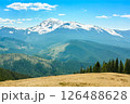 Mountain Landscape with Snowy Peaks and Green Forest 126488628