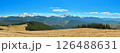 Mountain Landscape with Snowy Peaks and Forest Cabins 126488631