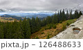 Mountain Panorama with Forests Rocks and Snowy Peaks 126488633