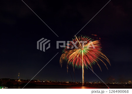 江戸川花火大会　関東 126490068