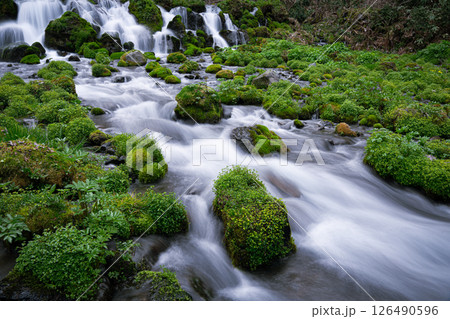 苔むした岩を流れる清流 苔むした岩を流れる清流 126490596