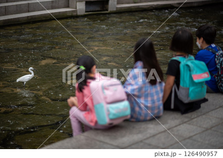 Cheonggyecheon Stream, public urban park in downtown Seoul, capital of South Korea 126490957