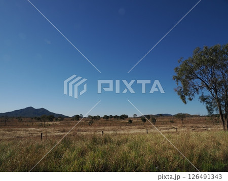 A1 St. Lawrence Rd 沿いの風景　クイーンズランド　オーストラリア 126491343