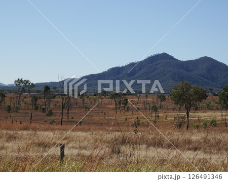 A1 St. Lawrence Rd 沿いの風景　クイーンズランド　オーストラリア 126491346