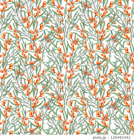 Watercolor dense sea buckthorn branches, ripe orange berries, and green leaves seamless pattern isolated background. Baltic berry ornate for autumn design, healthy food packaging, and cozy home decor 126491442