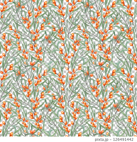 Watercolor dense sea buckthorn branches, ripe orange berries, and green leaves seamless pattern isolated background. Baltic berry ornate for autumn design, healthy food packaging, and cozy home decor 126491442