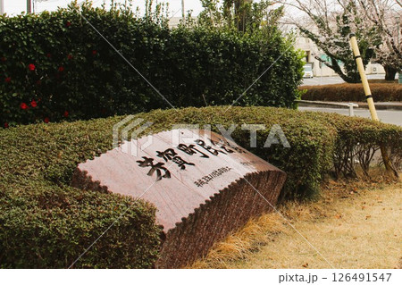 芳賀町町民会館 126491547