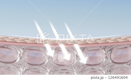 紫外線ダメージを象徴する肌への浸透ビジュアル 126491604