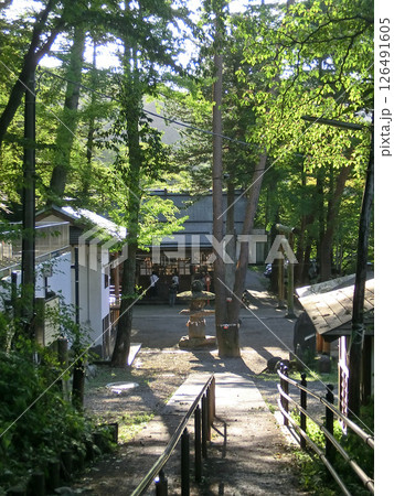 伊香保温泉･伊香保神社：上ノ山公園への登り口から 126491605