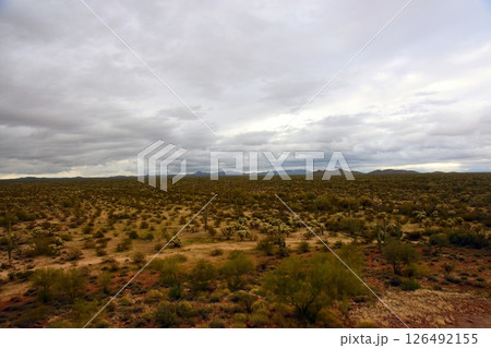 Early Spring Landscape Sonoran Desert Arizona Early Spring Landscape Sonoran Desert Arizona 126492155