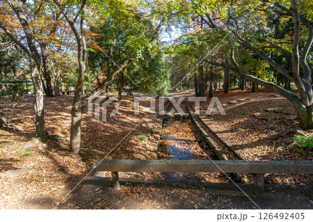 東京都江東区の清澄公園 東京都江東区の清澄公園 126492405