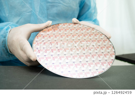 Silicon wafer for manufacturing semiconductor of integrated circuit. Silicon wafer for manufacturing semiconductor of integrated circuit. 126492459