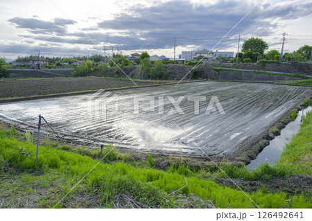 田舎の水が入った田んぼ 田舎の水が入った田んぼ 126492641