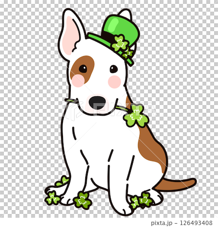 聖パトリックの祝日のシンプルで可愛いブルテリア 聖パトリックの祝日のシンプルで可愛いブルテリア 126493408