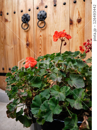 Bukchon Hanok village old traditional Korean architecture district and famous tourist destination in Seoul, South Korea Bukchon Hanok village old traditional Korean architecture district and famous tourist destination in Seoul, South Korea 126493442