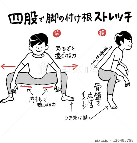 四股で内腿裏腿ストレッチ 126493789